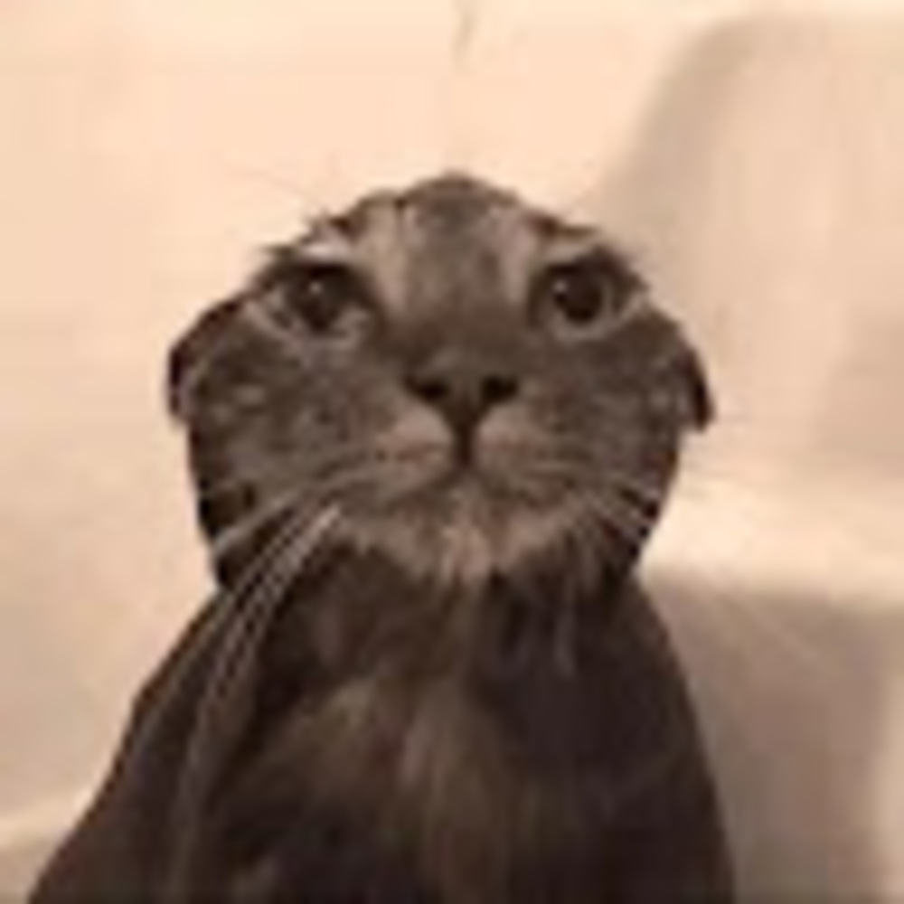 Meet your Posher, Goober booger